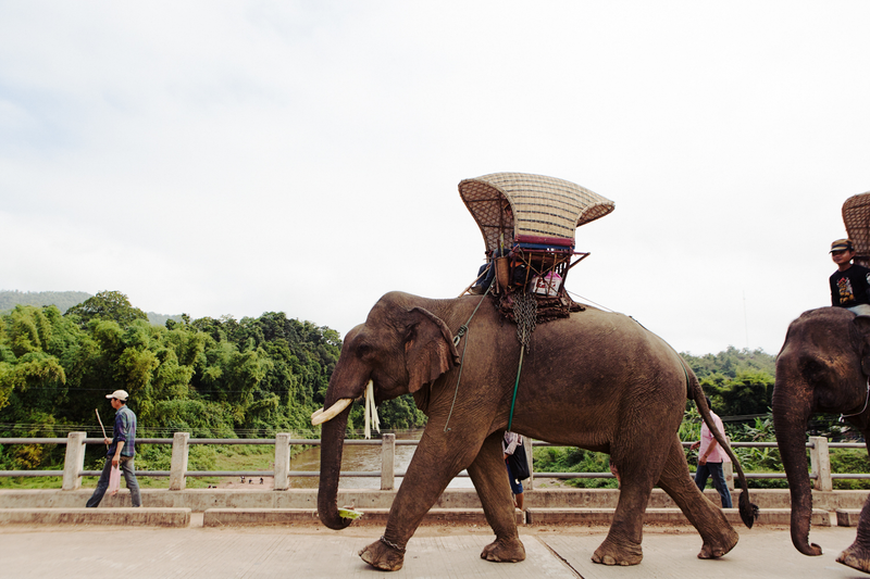 Crossing a bridge on the way to Ban Nongnong. Tara Rice Photography